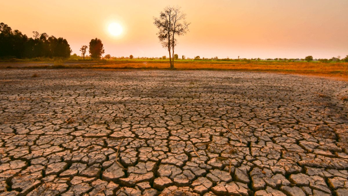 El Niño Tehlikesi: Küresel İklimde Büyük Değişiklikler Kapıda