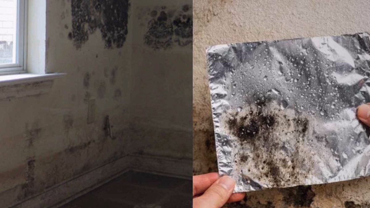 Duvarlardaki Gizemli Lekelere 24 Saatte Çözüm: Alüminyum Folyo Yöntemi
