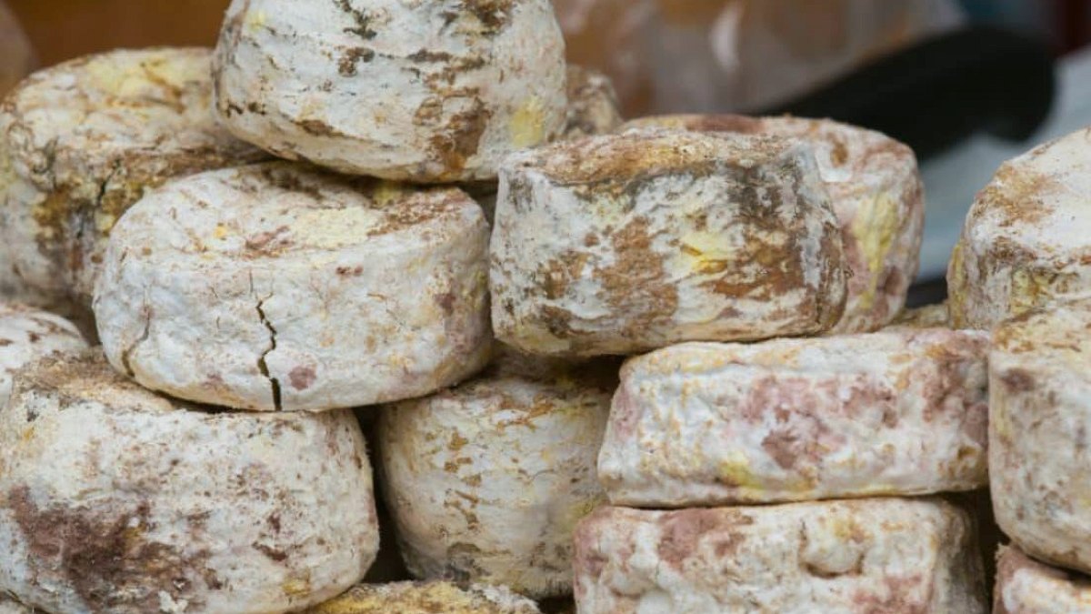 Çin'de Bulunan 3500 Yıllık Kalıntı Dünyanın En Eski Peyniri Oldu