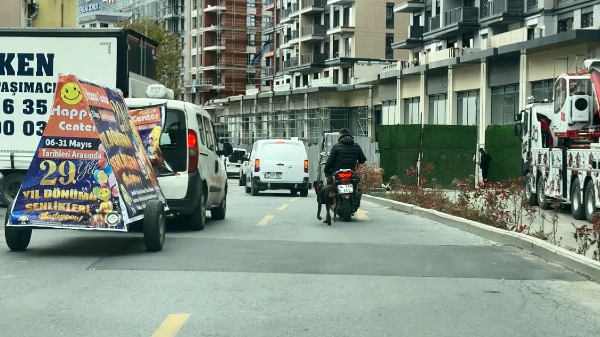 Motosiklet Arkasında Koşturulan Köpek: Sürücüye Ceza Kesildi