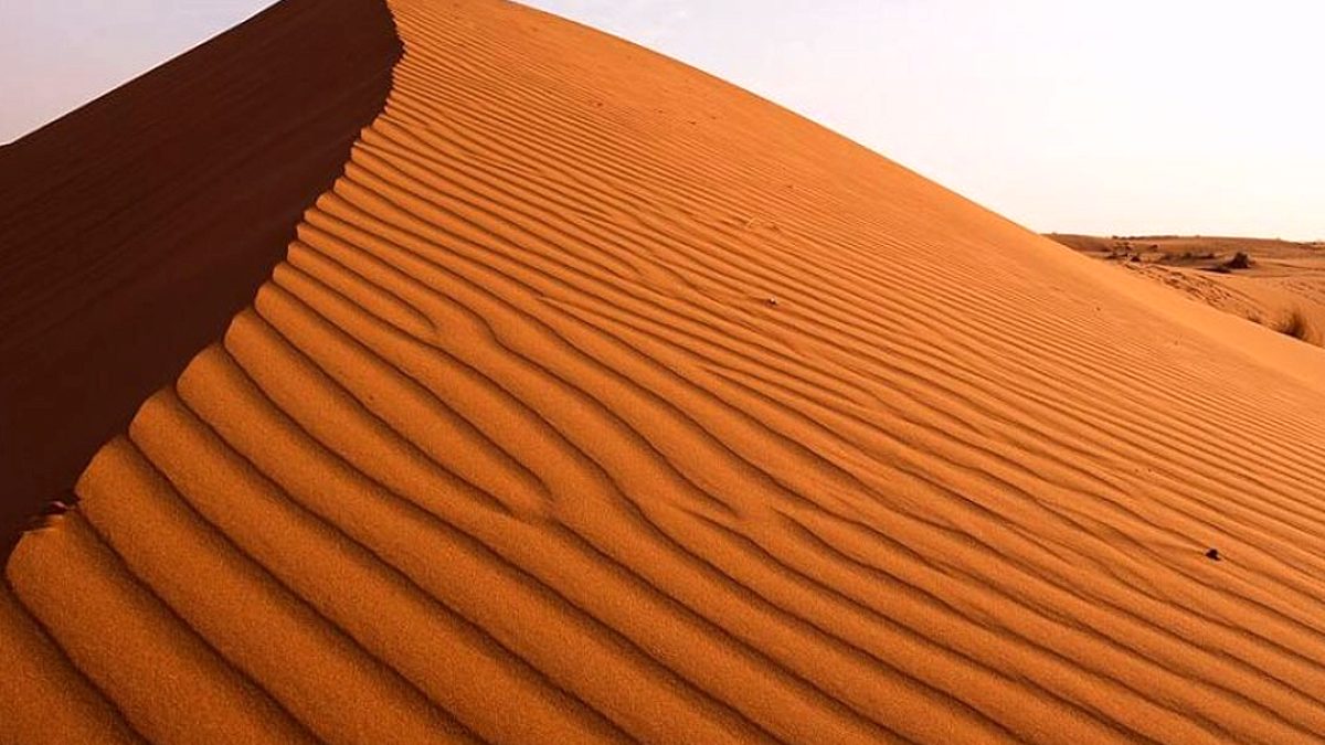 Suudi Arabistan'ın Çöl Kumuna Rağmen Kum İthal Etme Gerçeği
