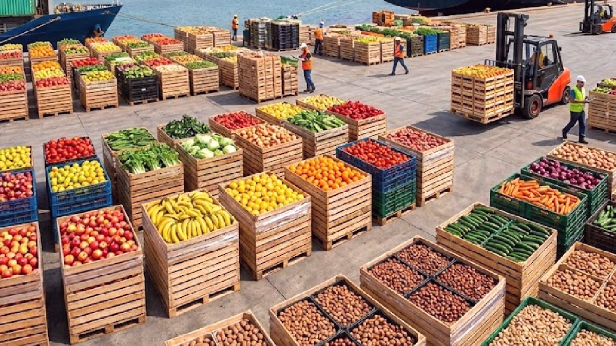 Türkiye'den İhraç Edilen Biberlerde Tehlikeli Kimyasal Tespit Edildi