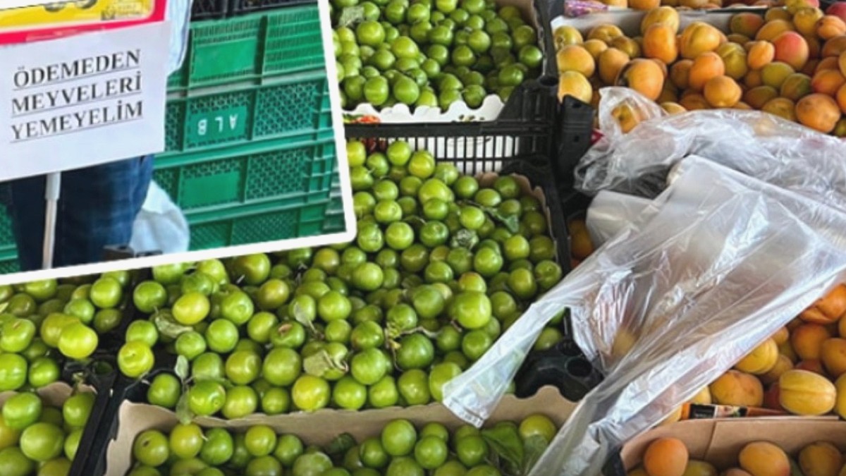 Marketlerde Meyve Hırsızlığı: Vatandaşın Çaresizliği ve Marketlerin Önlemleri