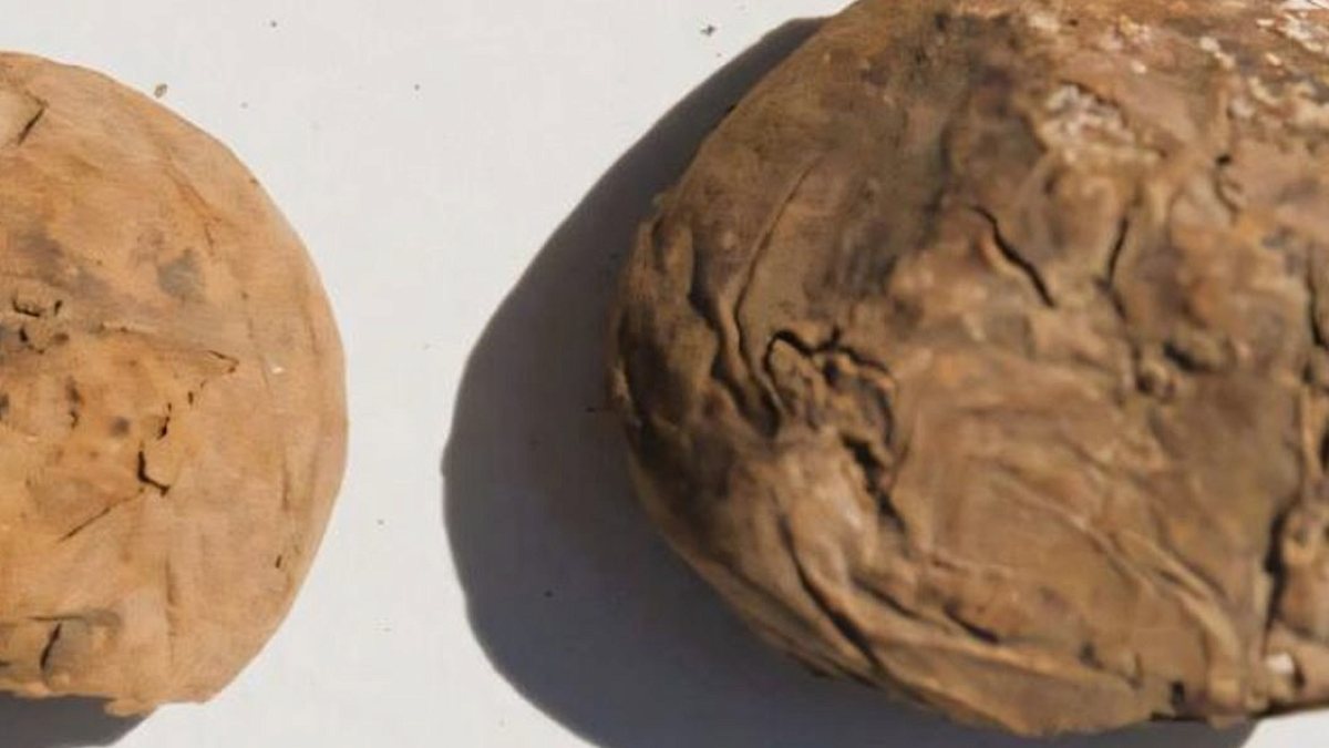 Peru'da 500 Yıllık Donmuş Patatesler Bulundu: İnka Lojistiğinin Kanıtı
