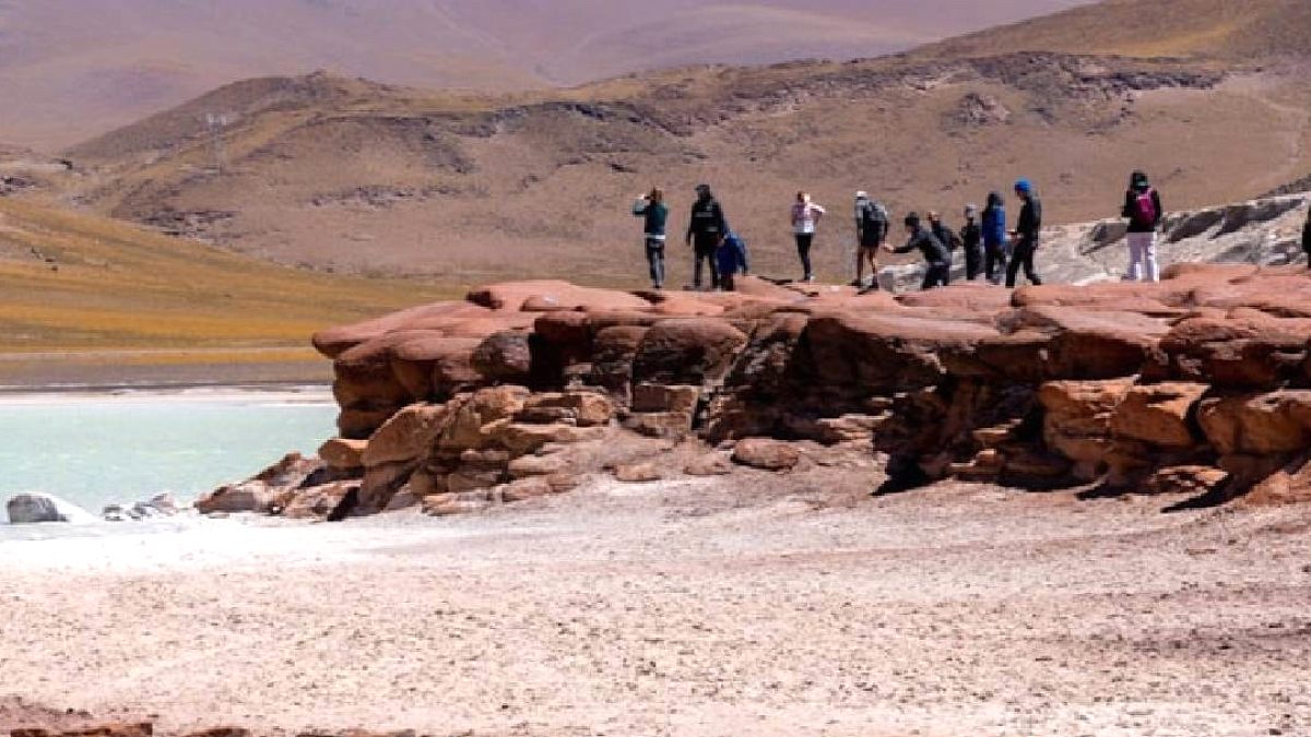 Atacama Çölü 500 Yıl Sonra Çiçeklerle Yeniden Doğdu