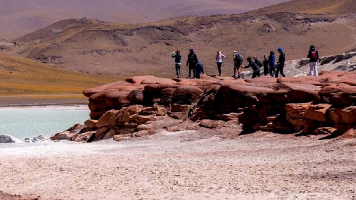 500 Yıllık Kuraklık Sonlandı: Atacama Çölü Rengarenk Çiçeklerle Canlandı