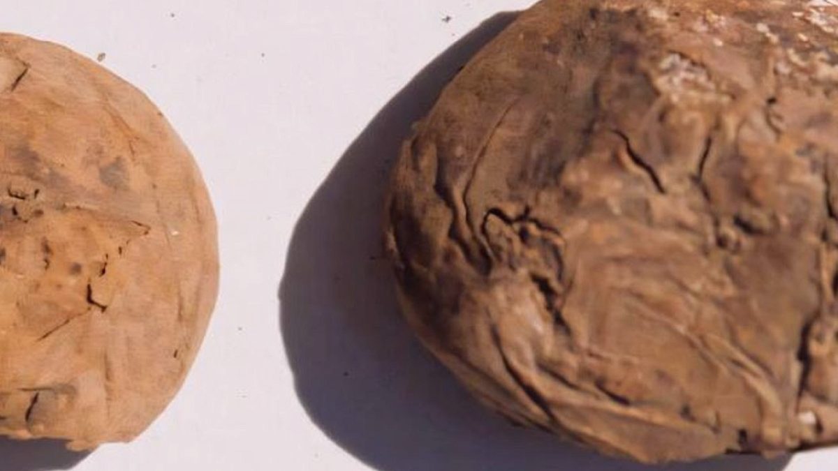 Peru'da İnka Hazinesi: 500 Yıllık Kurutulmuş Patatesler Bulundu