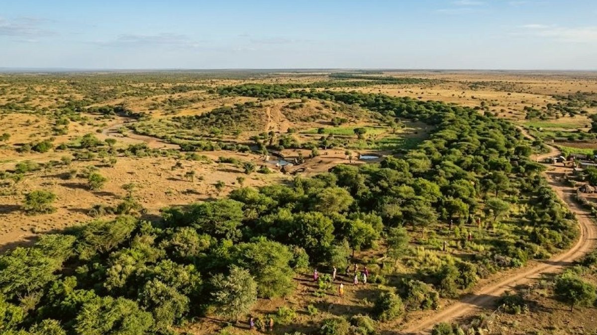 Afrika'nın Geleceği İçin Dev 'Yeşil Duvar' Projesi Hayata Geçiyor