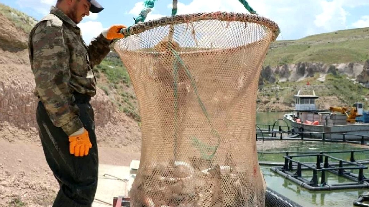 Deniz Olmayan Şehirden 49 Ülkeye Günde 100 Ton Lezzetli Somon İhracatı