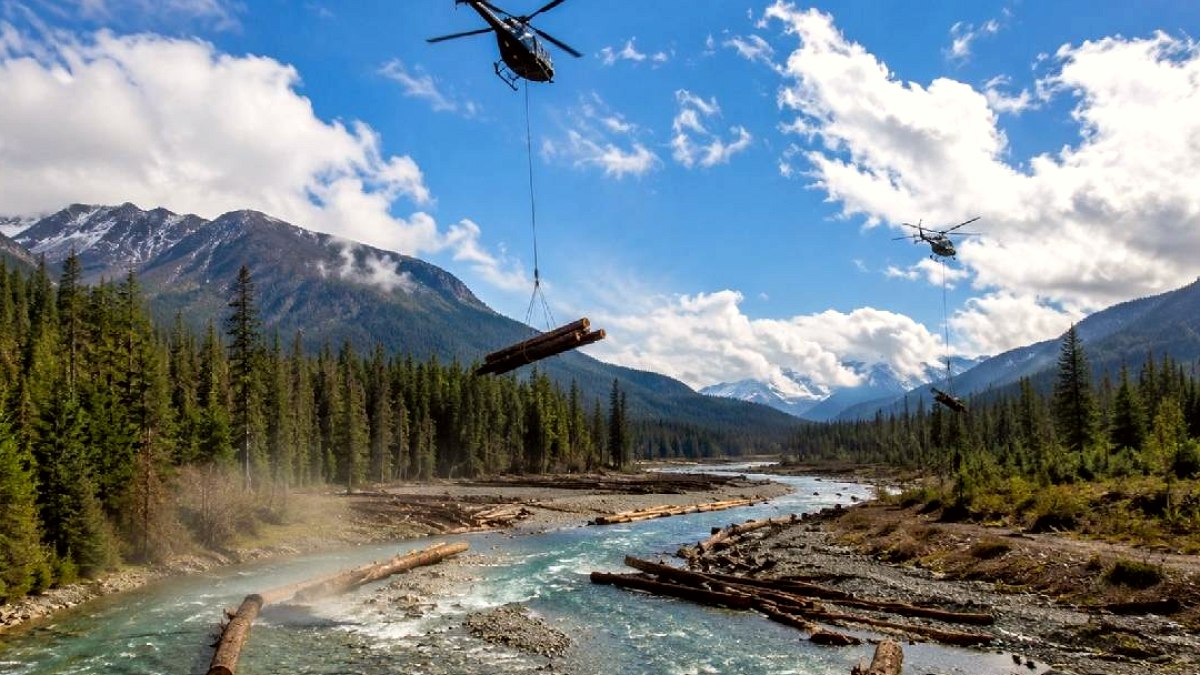 Nehir Ekosistemini Canlandırmak İçin Helikopterle 6 Bin Kütük Bırakıldı