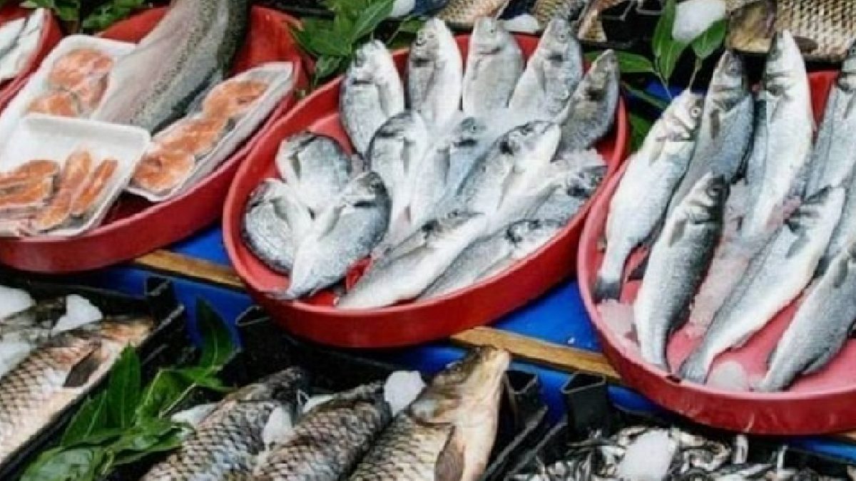 Yaz Aylarında Tüketiminden Kaçınılması Gereken 5 Balık Türü
