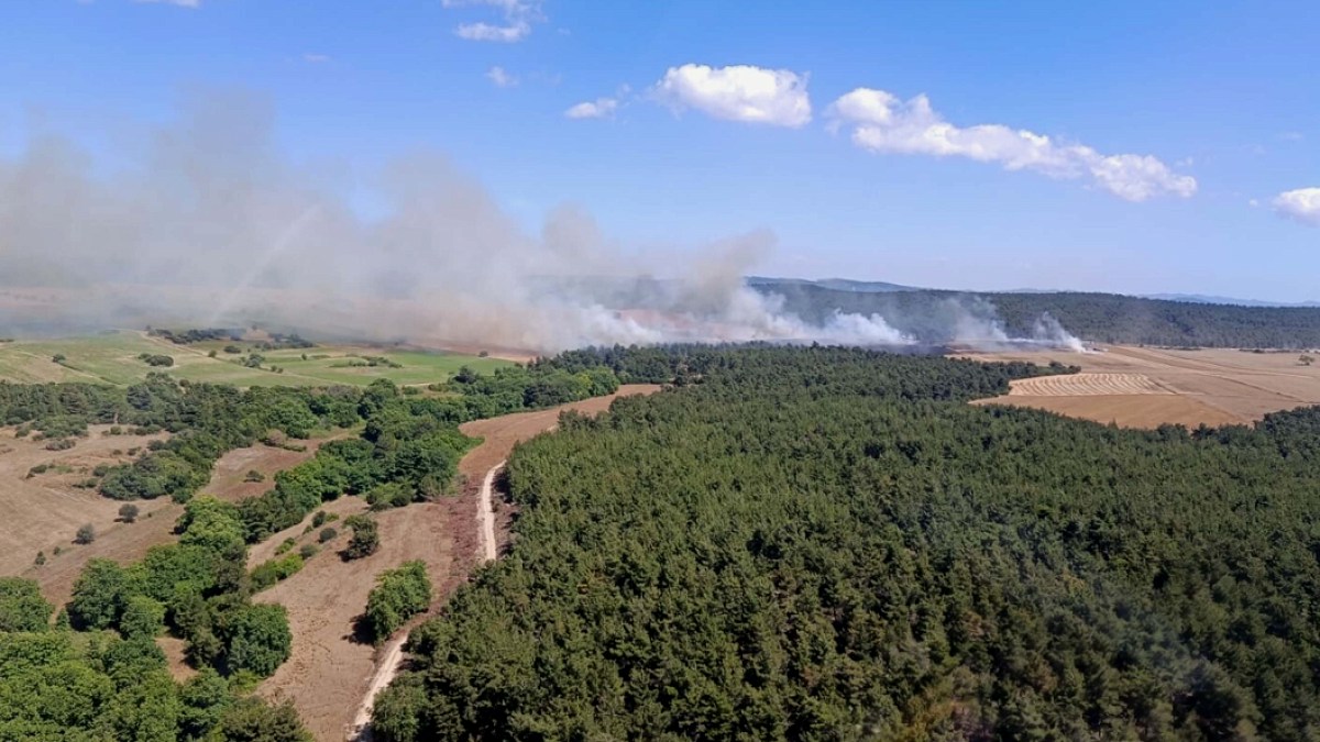 Çanakkale Eceabat'ta Orman Yangını: Müdahale Sürüyor