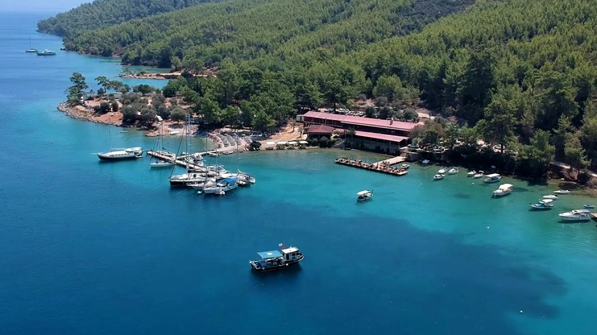 Muğla'da Zeytinlikler Maden İçin Acele Kamulaştırılıyor: Tepkiler Çığ Gibi