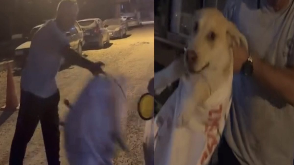 Çuvala Konulan Köpek, Duyarlı Bir Vatandaş Sayesinde Kurtuldu