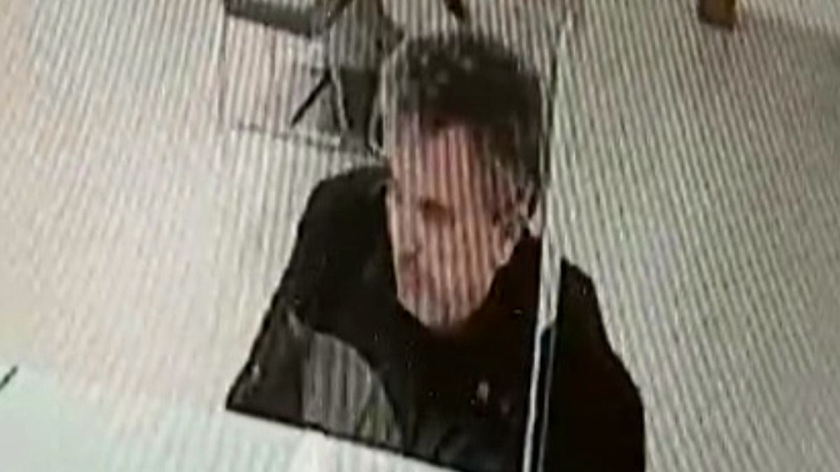 Bolu'da Bankada Beklerken Tavandan Kedi Düştü: Panik Kahkahaya Dönüştü