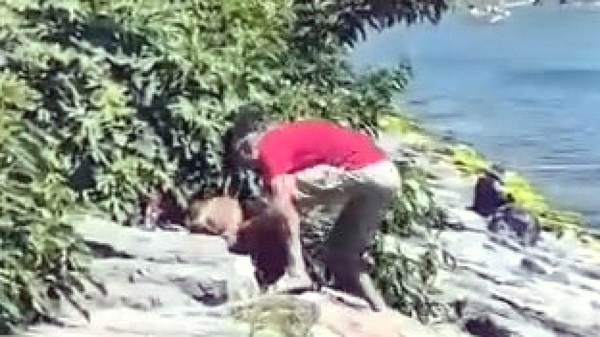 Avcılar'da Sahilde Köpeğe Şiddet: Görüntüler Tepki Çekti, Polis Peşinde