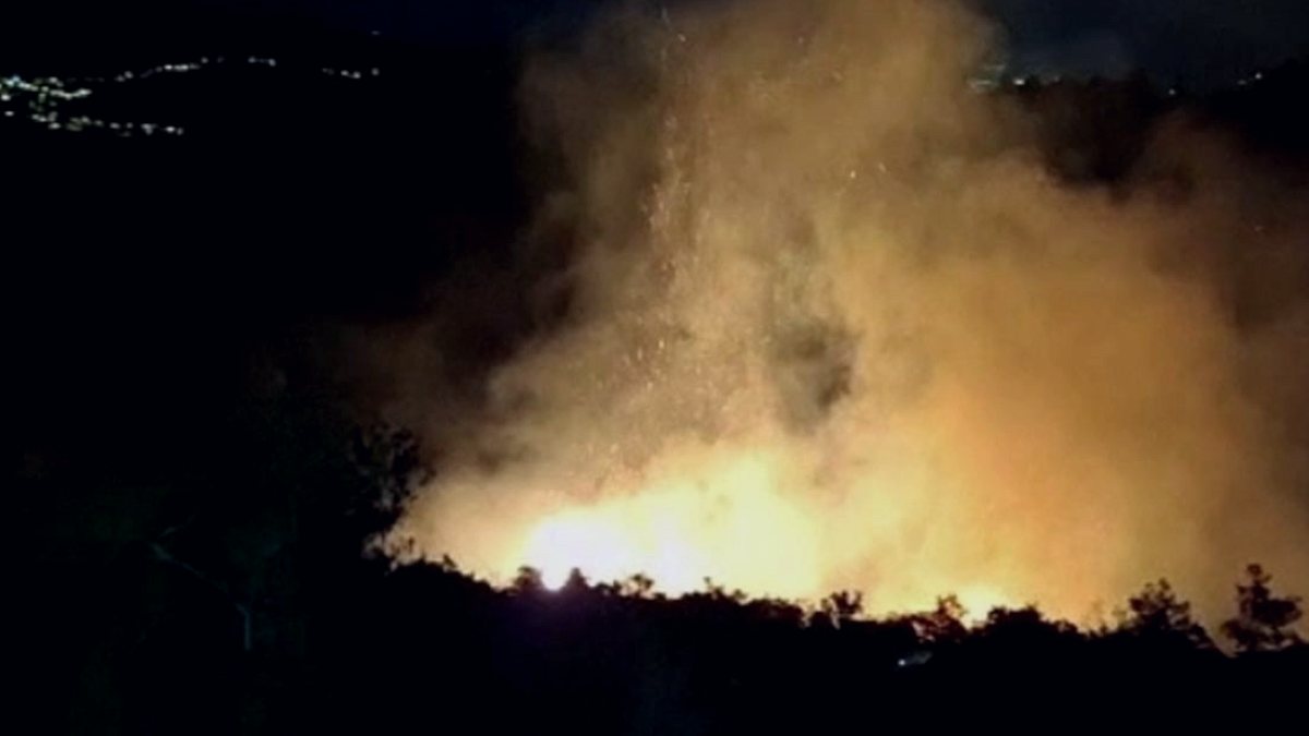 Antakya'da Orman Yangını: Ekipler Hızla Müdahale Etti