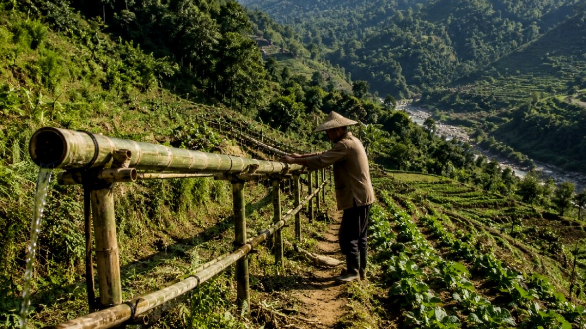 Hindistan'da 200 Yıllık Bambu Sulama Sistemi Doğaya Meydan Okuyor