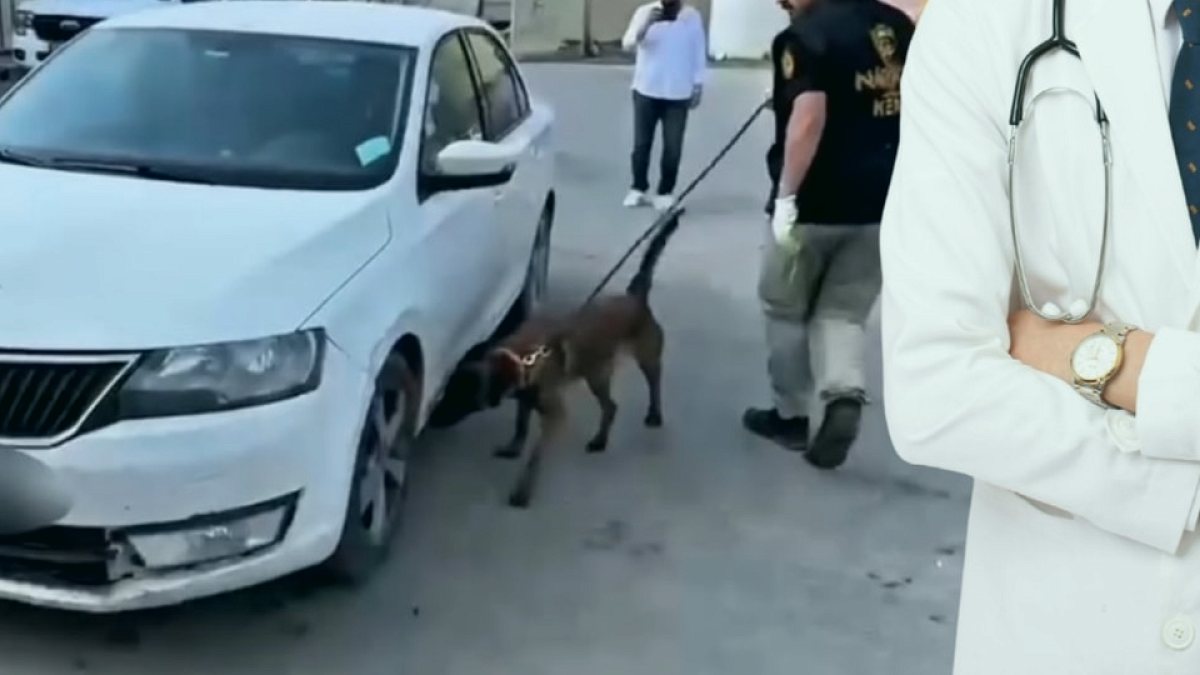 Doktorun Aracında Muazzam Miktarda Uyuşturucu Maddesi Ele Geçirildi