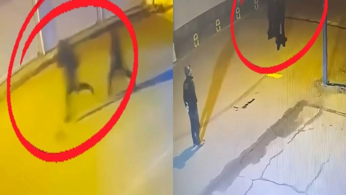 Diyarbakır'da Suç Örgütüne Darbe: 15 Kişi Tutuklandı