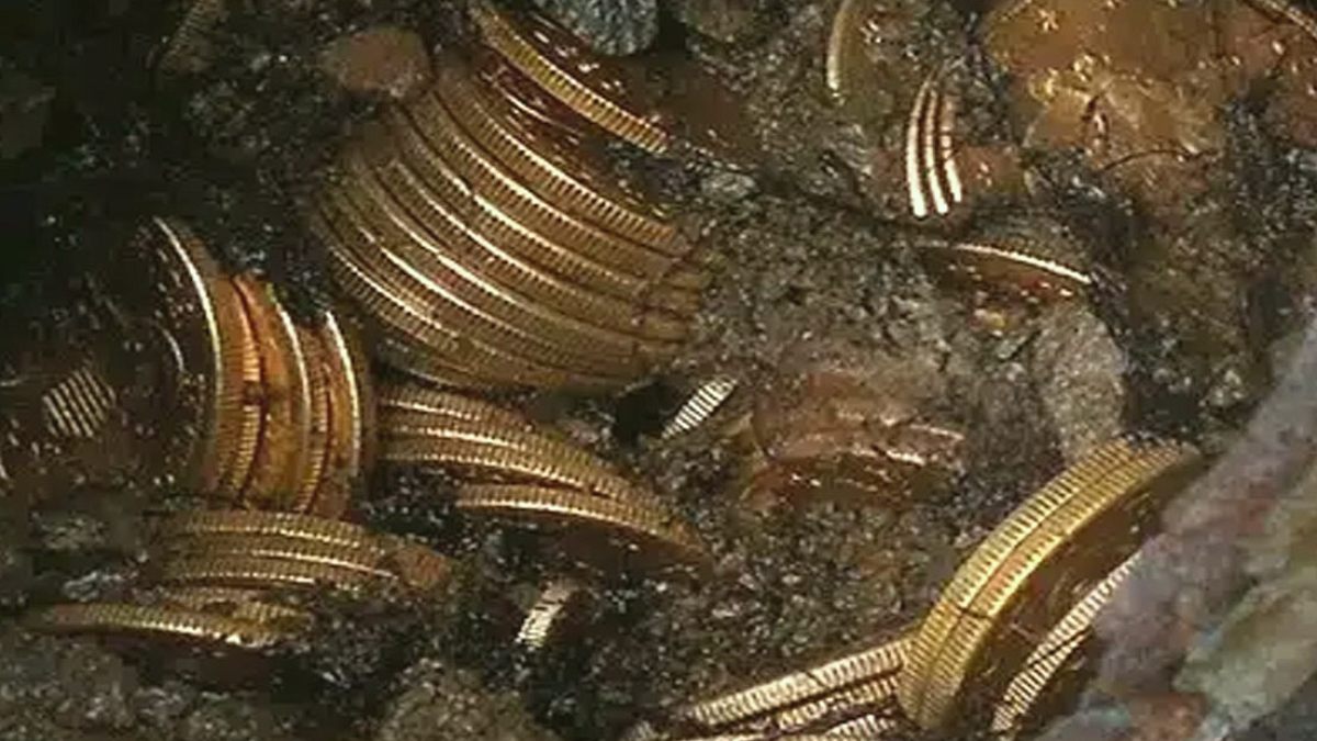 ABD'de Bahçesinde Yürüyen Çift, Milyonlarca Dolarlık Altın Sikkeler Buldu