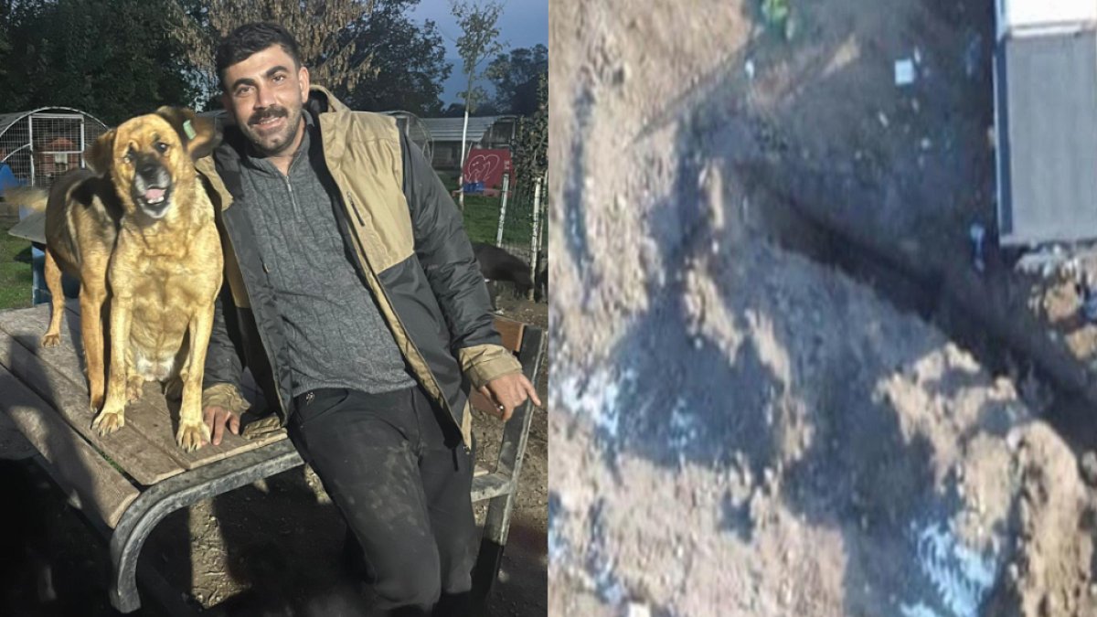 Köpek Katliamı İddiaları: İfşa Edenlere Dava, Belediyeye Takipsizlik Kararı
