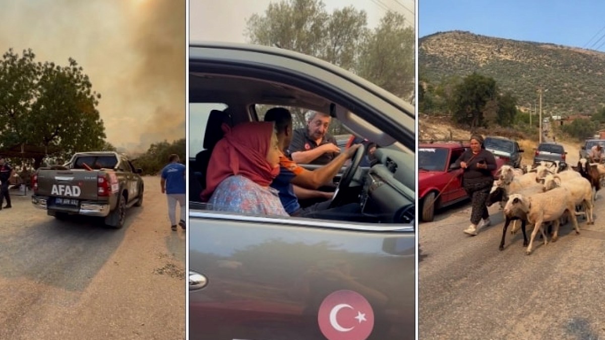 Aydın'da Zeytinlik Alanı Saran Alevler İki Mahalleyi Tehdit Etti