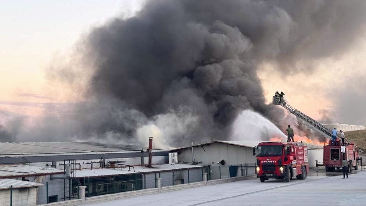 Afyonkarahisar'da Sucuk Fabrikasında Büyük Yangın: Ekipler Seferber Oldu