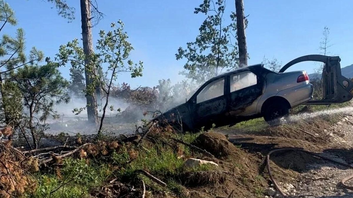 Karabük'te Ormanlık Alanda Park Halindeki Araç Alevlere Teslim Oldu