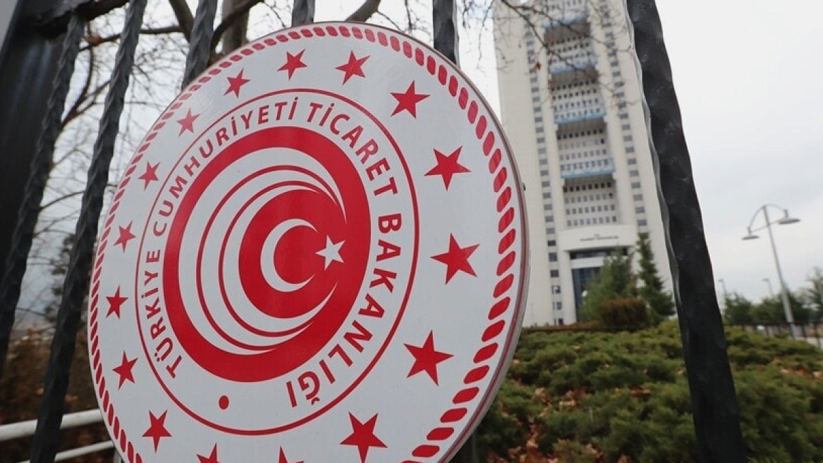 Hamzabeyli Sınır Kapısı'nda Kaçak Yaban Hayvanı Operasyonu: 4 Vahşi Kedi Kurtarıldı