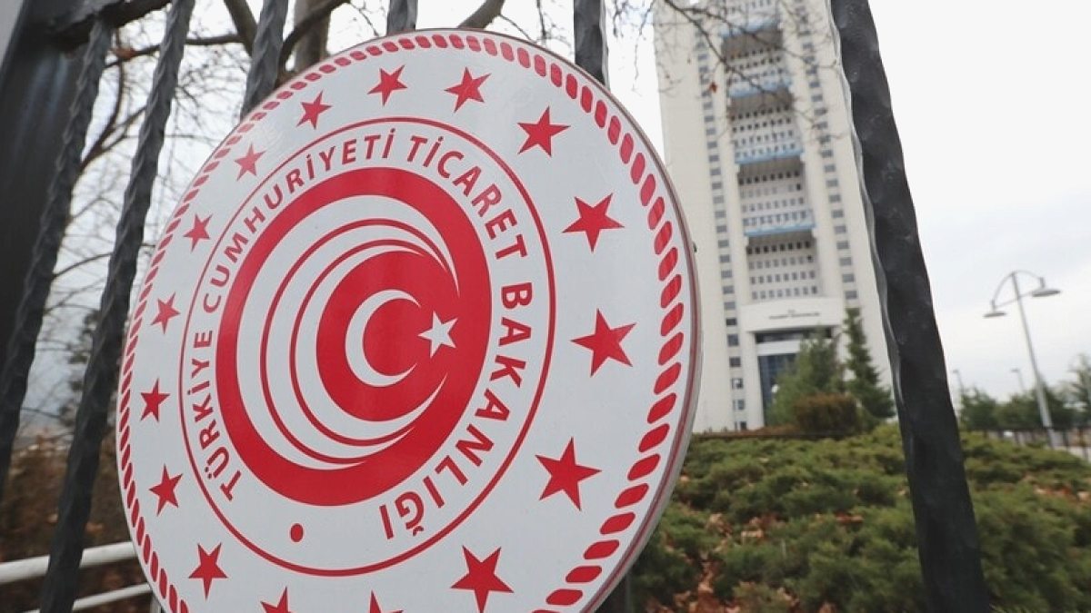 Hamzabeyli Gümrük Kapısı'nda Nefes Kesen Operasyon: Nesli Tükenmekte Olan 4 Yabani Kedi Kurtarıldı