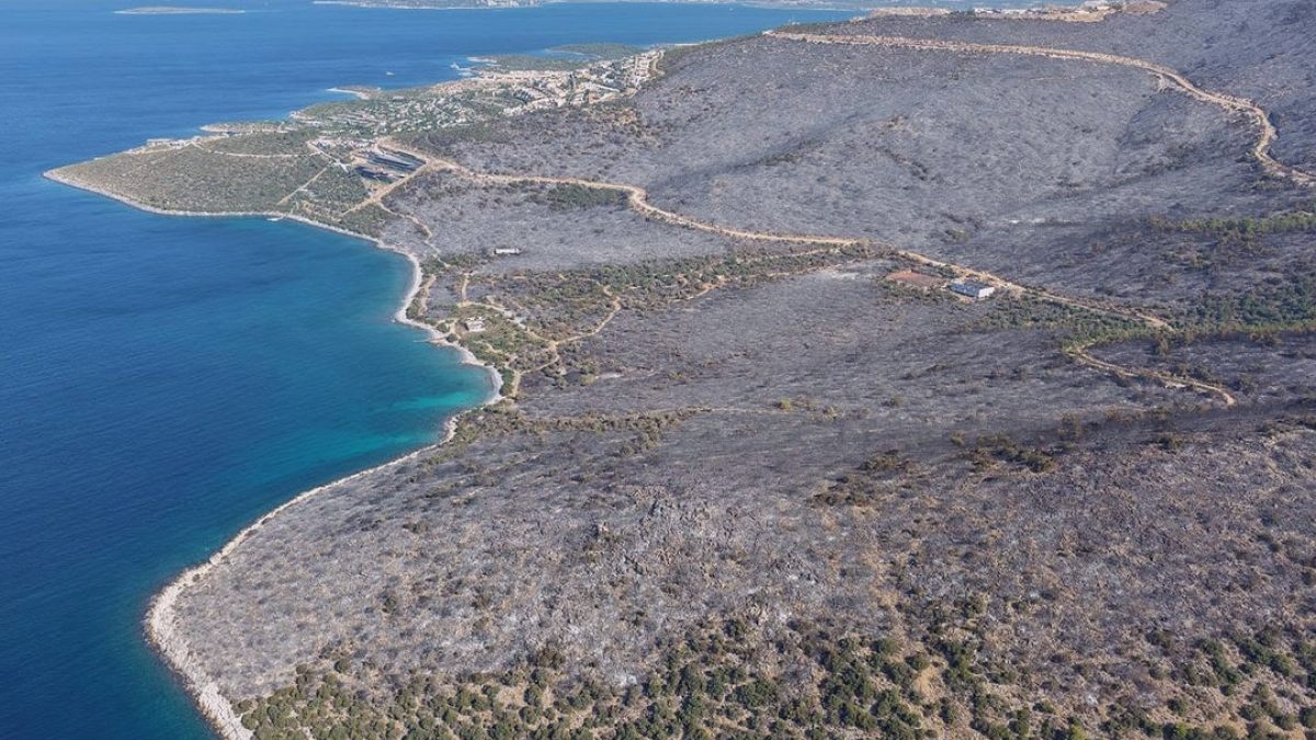 Muğla'da Orman Yangını: 850 Hektar Kül Oldu, Otel İddiaları Gündemde