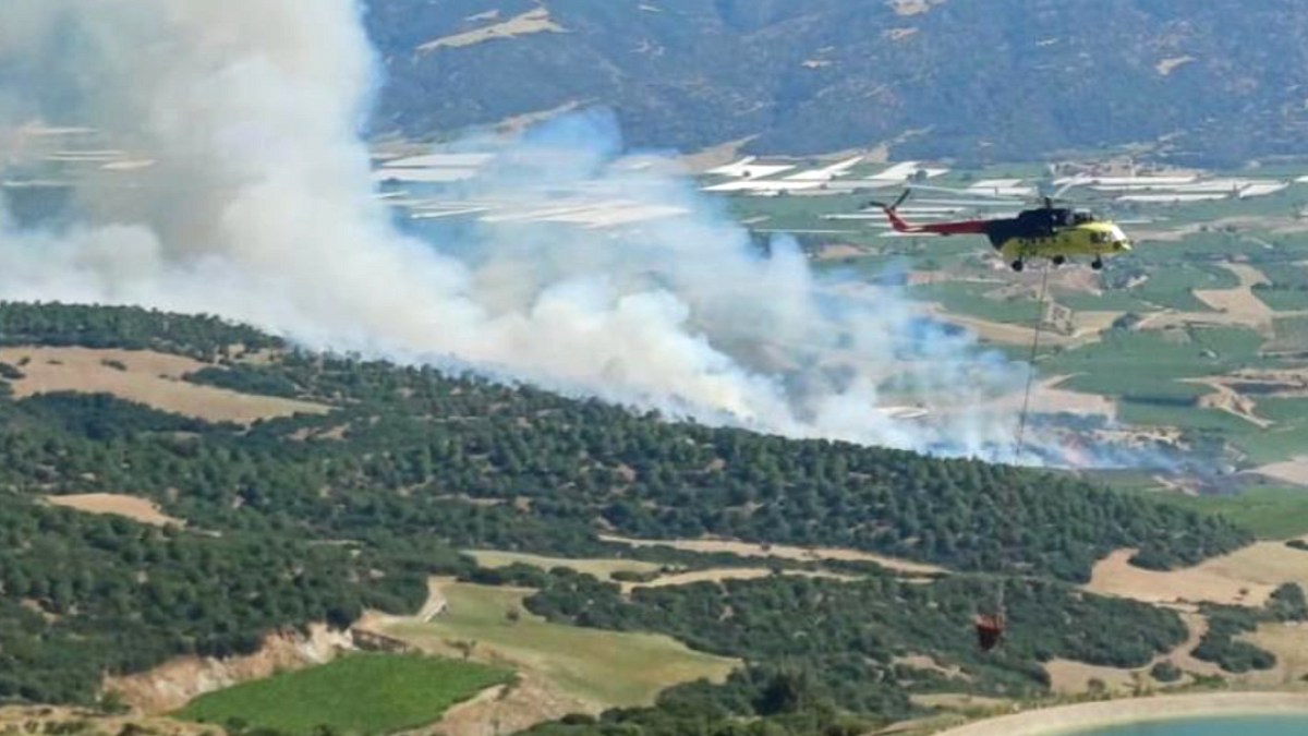 Manisa ve Muğla'da Orman Yangınları Söndürüldü: Ekiplerin Hızlı Müdahalesi Hayat Kurtardı