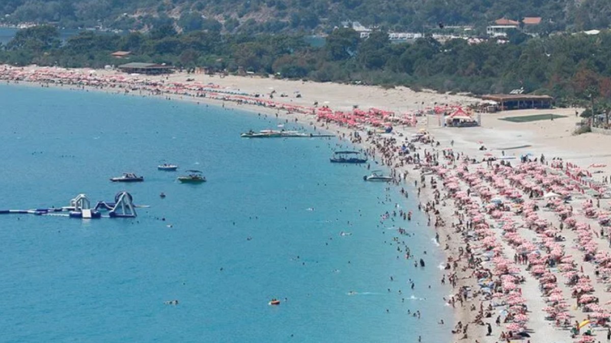 Türkiye Denizlerinde Pusula Denizanası Tehlikesi: Bildirimler %70 Arttı