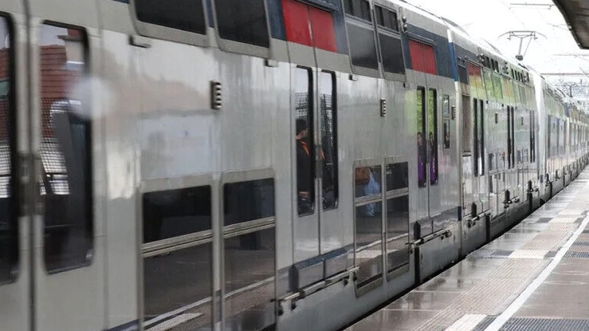 Almanya'da Tren Yolculuğu Ölümle Randevuya Dönüştü: Güvenlik Görevlisi Ağır Yaralandı