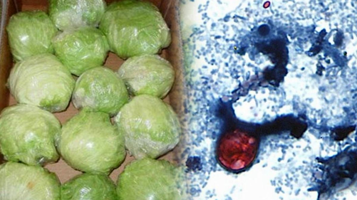 ABD'de Binlerce Kişi Hastanelik Oldu: Parazitli Marullar Geri Toplanıyor