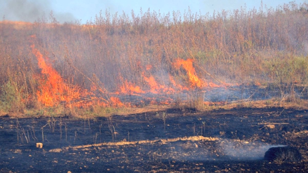 Antalya'da Tarla Yangını Saman Balya Yığınlarına Ulaştı