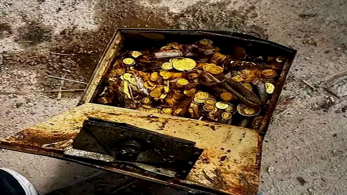 Viyana'da Tadilatta Tarihi Keşif: Zeminden Sarkan İp Hazineyi Ortaya Çıkardı
