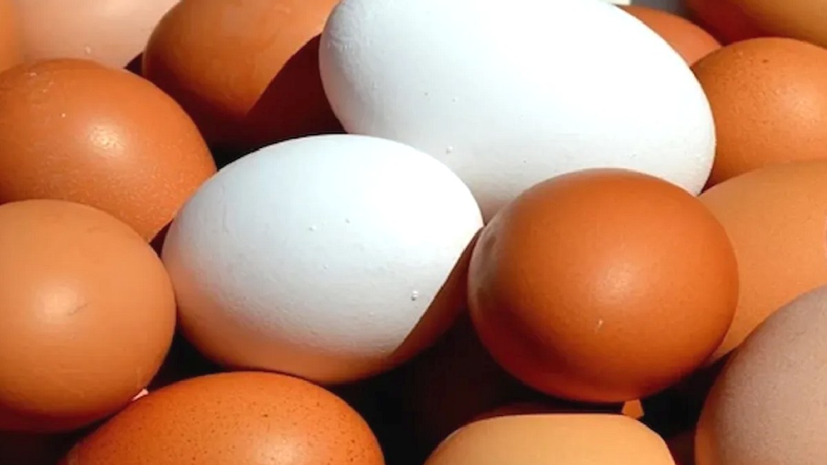 ABD'de Milyonlarca Yumurta Toplatılıyor: Salmonella Riski Kapıda