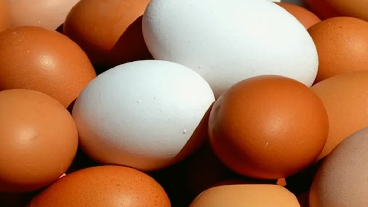 ABD'de Milyonlarca Yumurta Salmonella Riski Nedeniyle Piyasadan Toplatılıyor