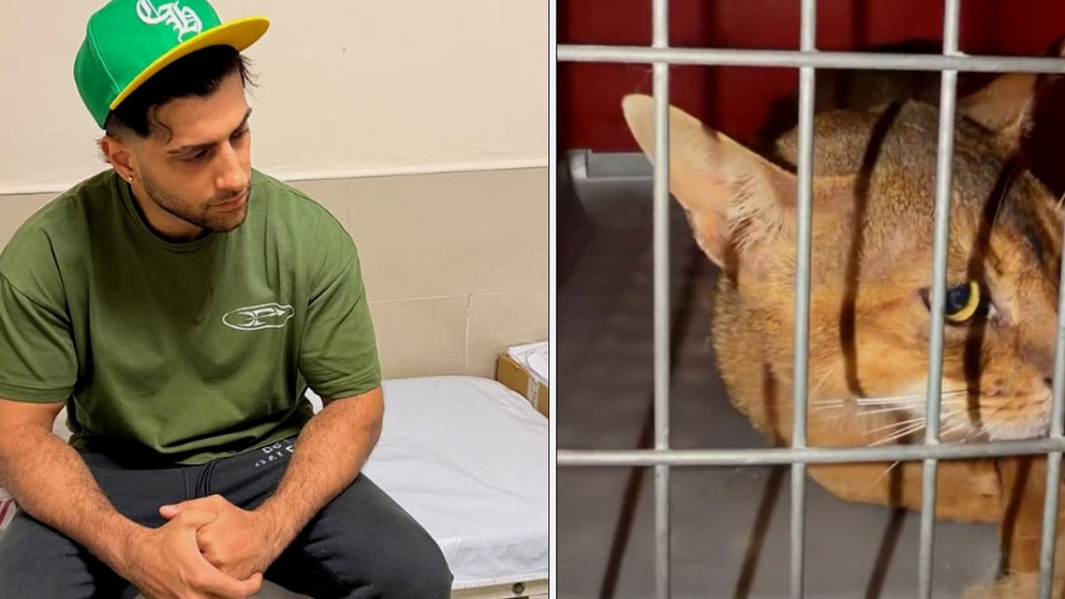 Şarkıcı Reynmen'i Kedisi Isırdı: Hastanelik Oldu ve Aşı Yaptırdı