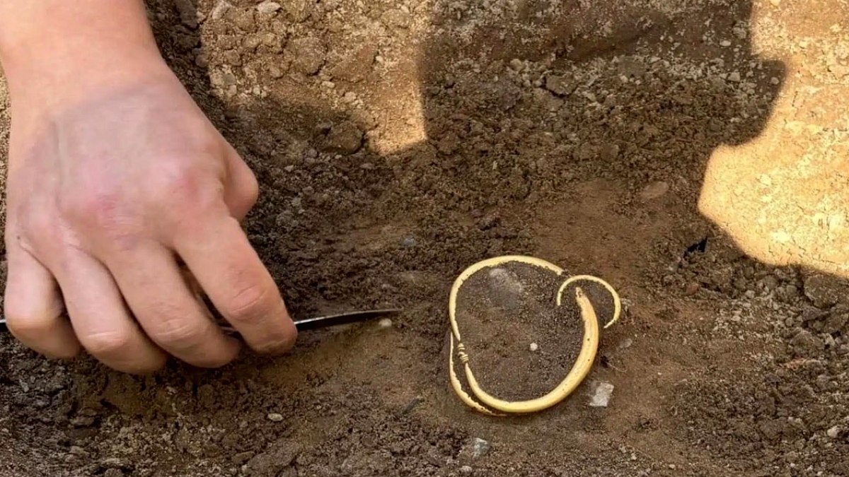 Danimarka'da Viking Dönemi'ne Ait Altın Hazine Bulundu: Nadir Bir Keşif
