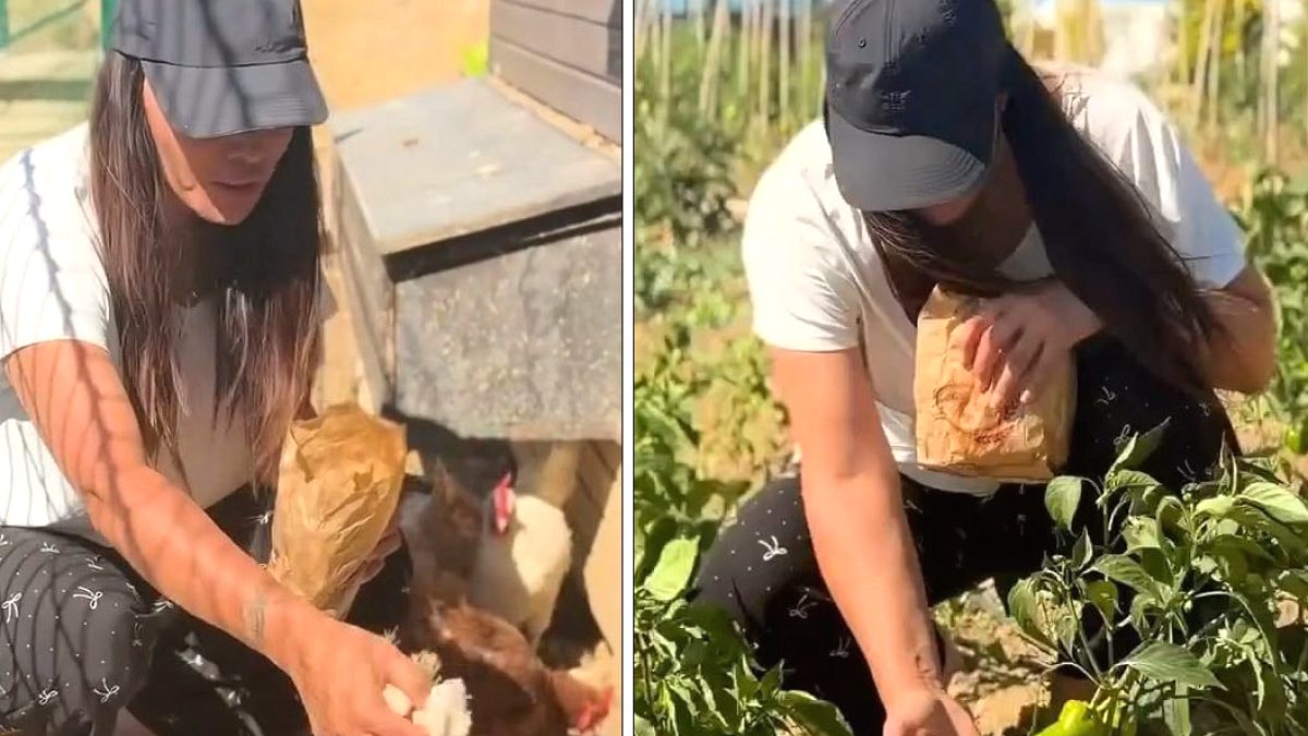 Asena'dan Radikal Değişim: Sahne Işıklarından Çiftlik Hayatına