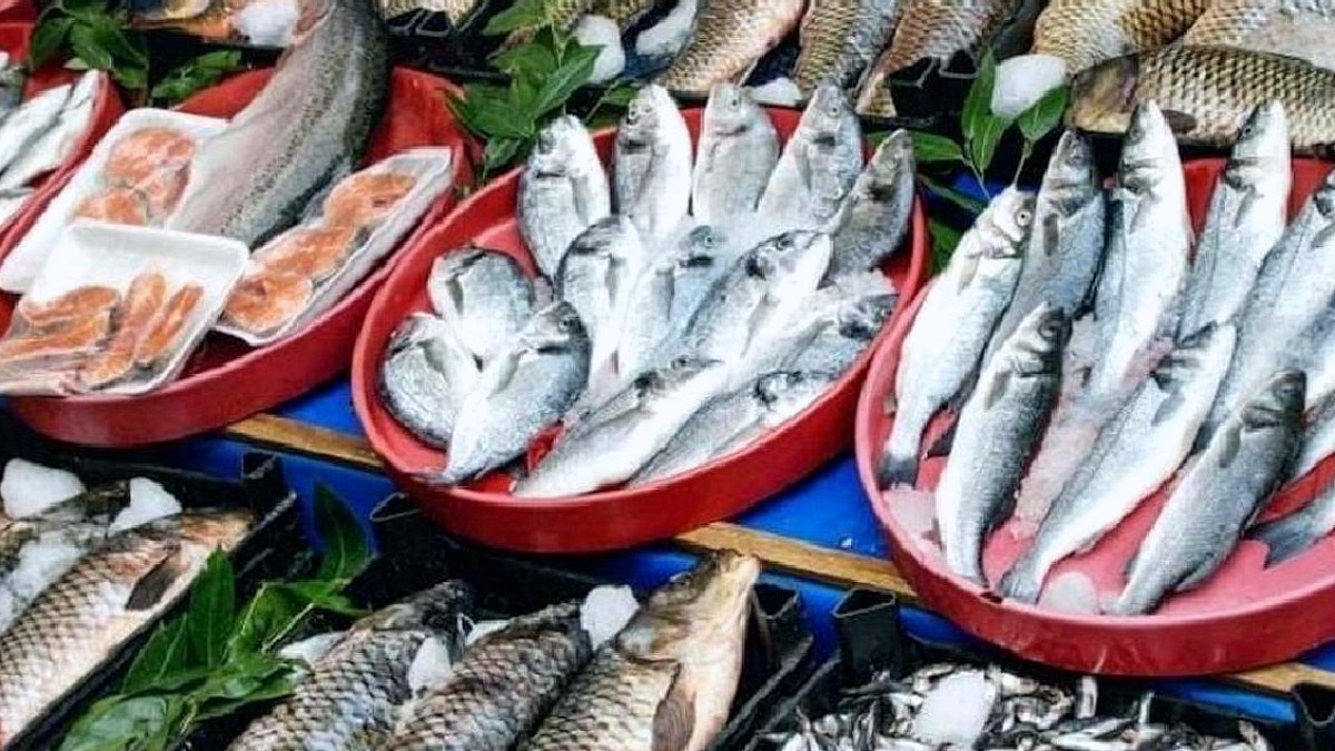 Muğla'nın Balıkları 70 Ülkeye İhraç Ediliyor: Rekor Gelir