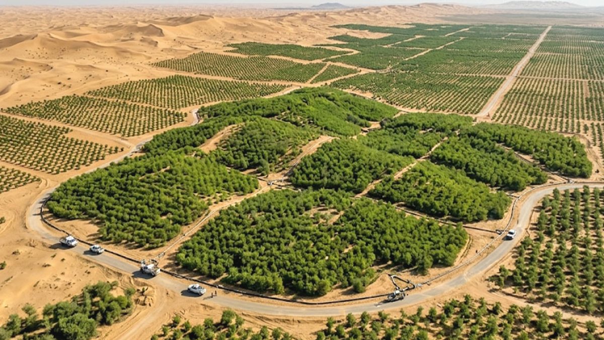 Suudi Arabistan Çöl Ortasında 159 Milyon Ağaçla Yeşil Bir Devrim Başlattı