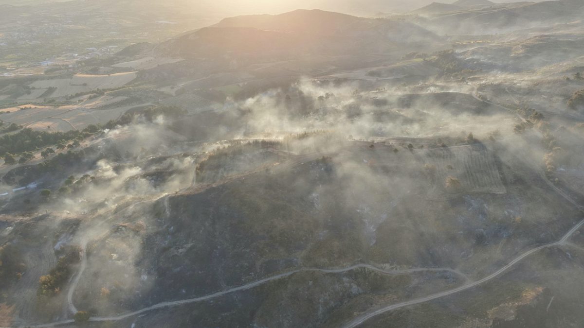 Çanakkale'de Orman Yangını: Ekiplerin 6.5 Saatlik Mücadelesi Sonuç Verdi