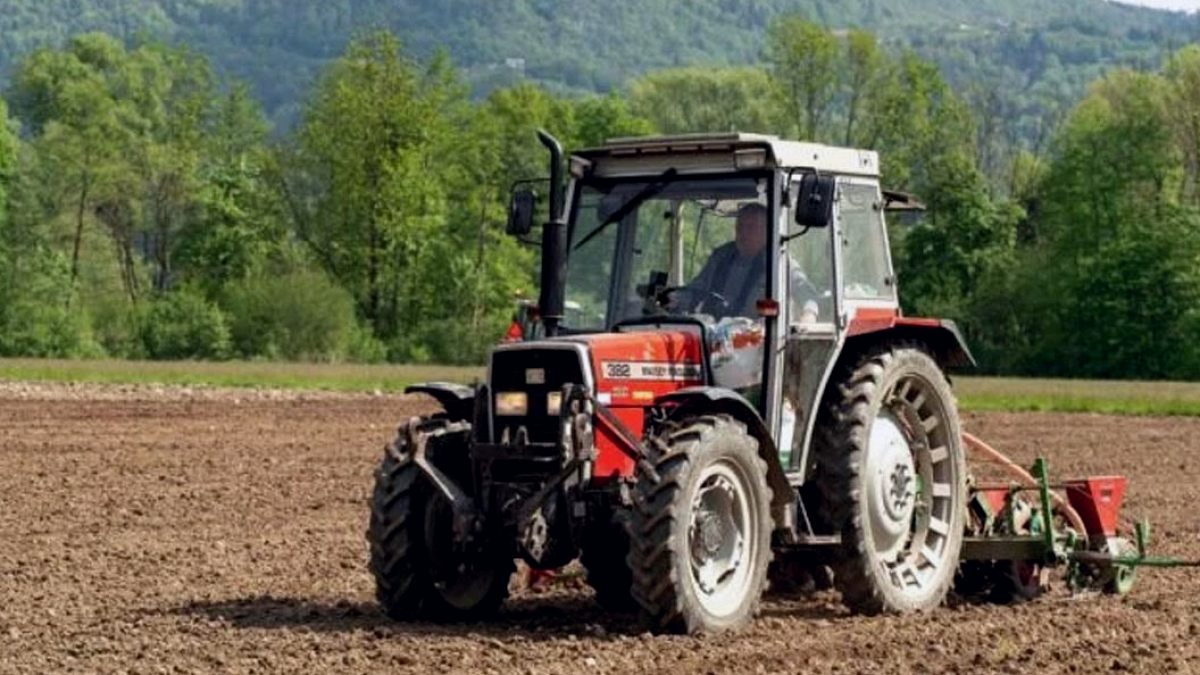 Toprak Sağlığını Anlamak İçin Yapılan Sıra Dışı Deney Sonuçları Açıklandı