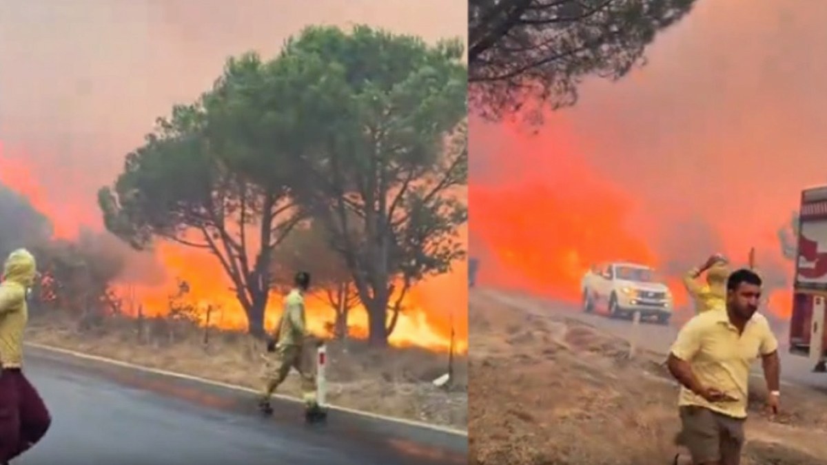 Gömeç Yangınında Soruşturma Tamamlandı: 2 Kişi Tutuklandı