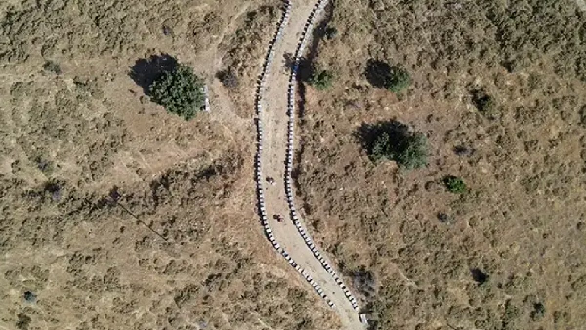 Elazığ'da Bal Hasat Sezonu Açıldı: Kaliteli Ürün İçin Geri Sayım Başladı