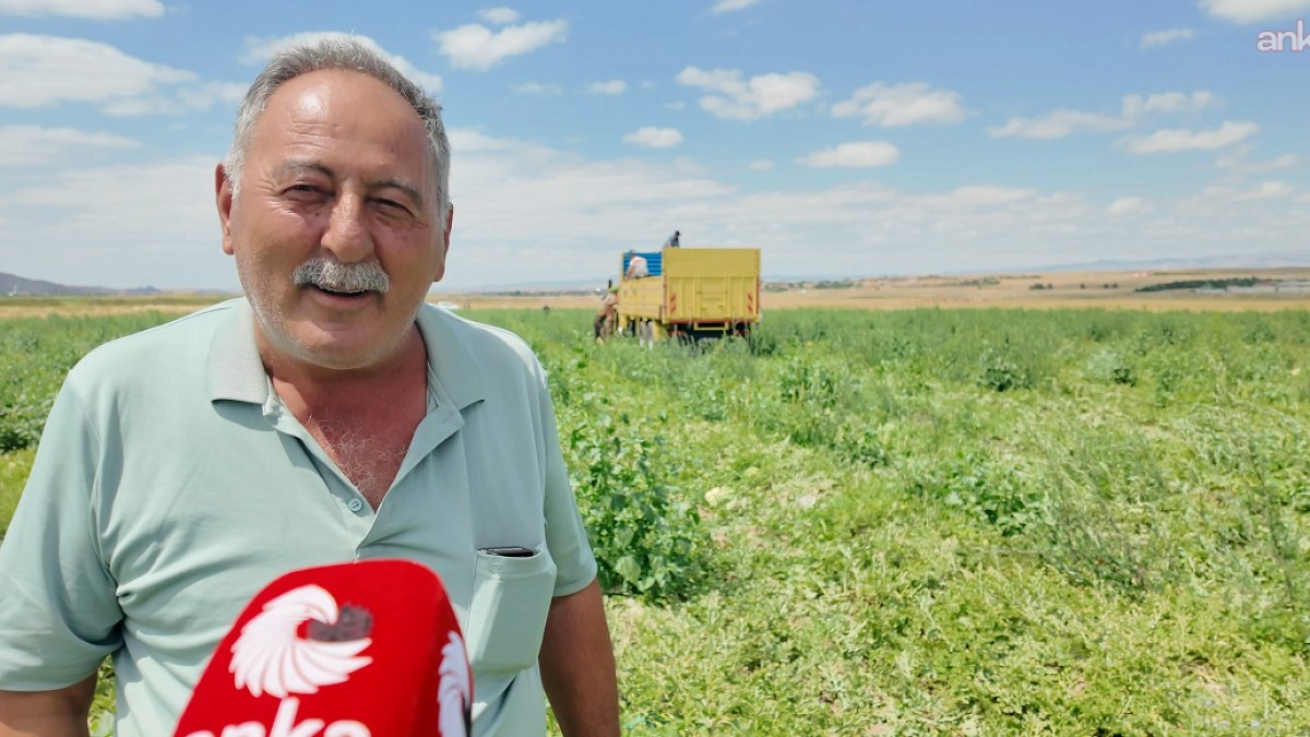 Yozgat Karpuz Çiftçisi Fiyat Kaygısı Yaşıyor: Maliyetler Yüksek, Pazar Fiyatları Düşük